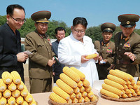 Лидер КНДР Ким Чен Ын инспектирует сельское хозяйство
